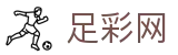 世界杯体彩买球app官方下载入口 - 足彩网